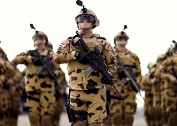 المصدر: Grey Dynamics