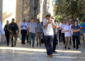 المصدر: الجزيرة نت