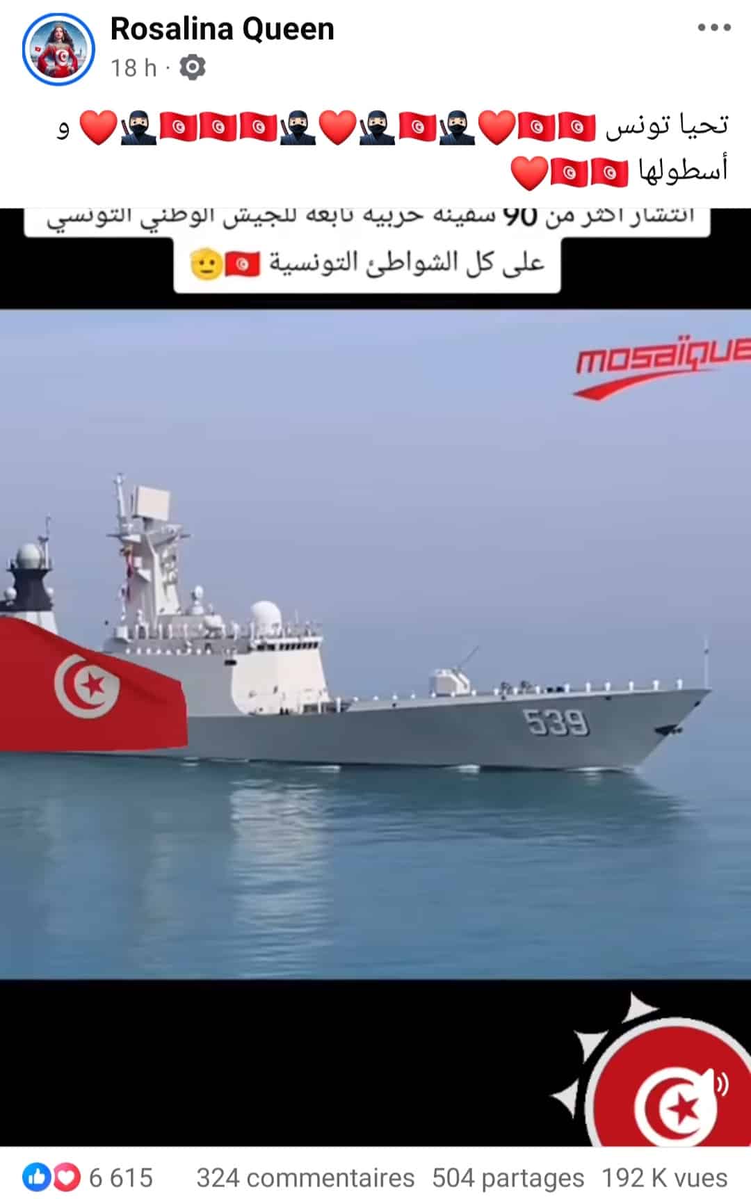 الادعاء المتداول على فيسبوك بشأن أسطول الصمود