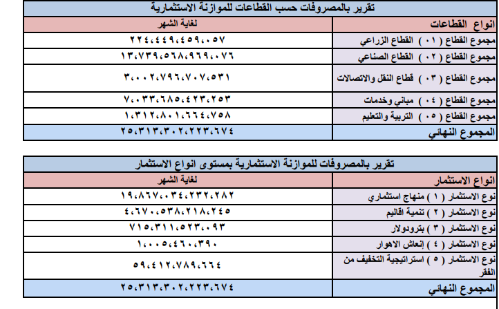 النفقات الاستثمارية عام 2024