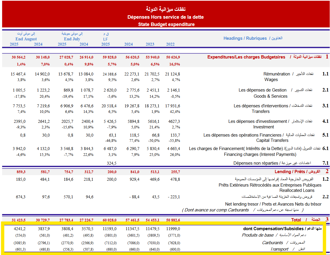 تنفيذ الميزانية - أغسطس 2025