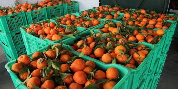 المصدر: جريدة الشروق التونسية