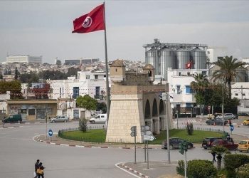 المصدر: Anadolu Ajansi