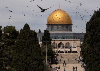 المصدر: Anadolu Ajansi