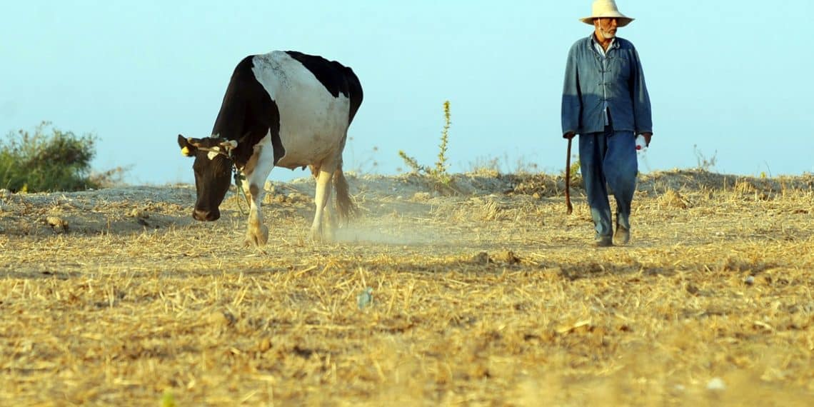المصدر: ألترا تونس