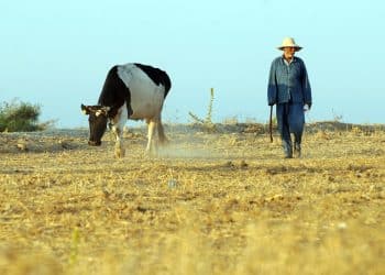 المصدر: ألترا تونس