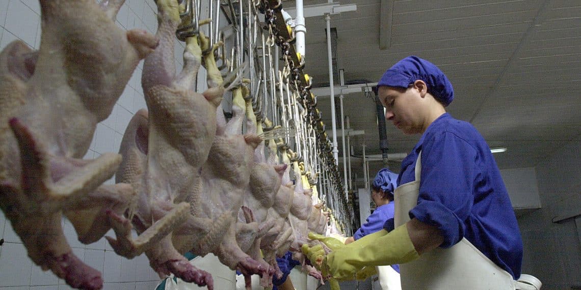 المصدر:AFP via Getty Images‏