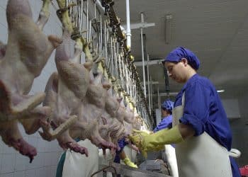 المصدر:AFP via Getty Images‏