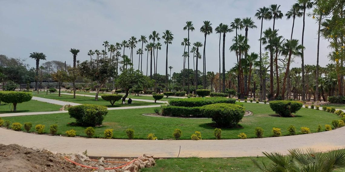 المصدر: اليوم السابع