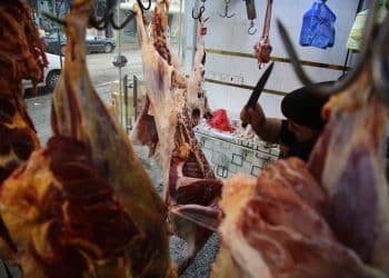 المصدر: وكالة نون الخبرية