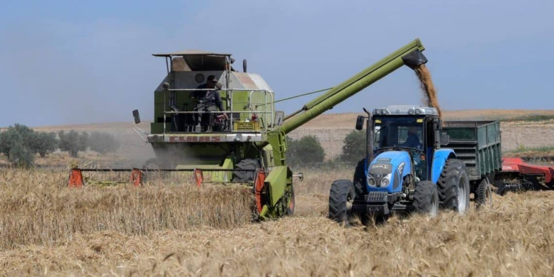المصدر: اندبندنت عربية