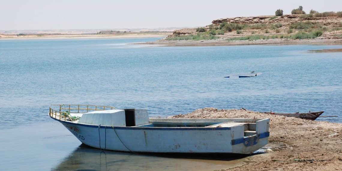 المصدر: اليوم السابع