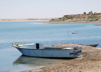 المصدر: اليوم السابع