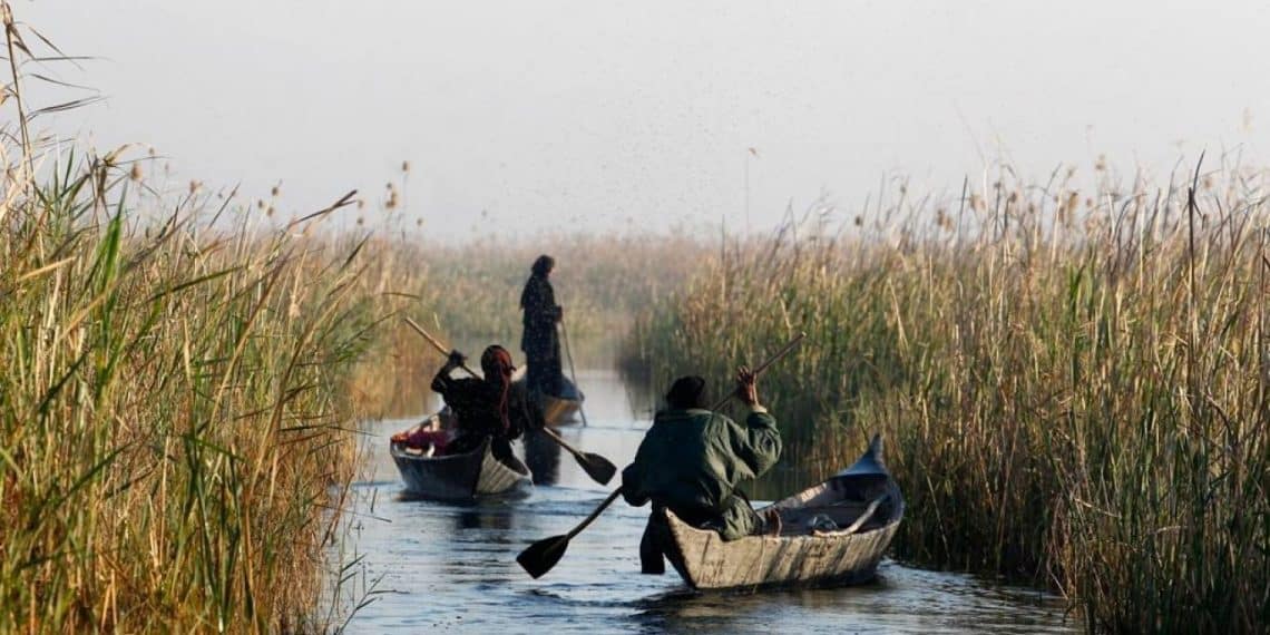 المصدر: اندبندنت عربية