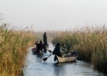 المصدر: اندبندنت عربية