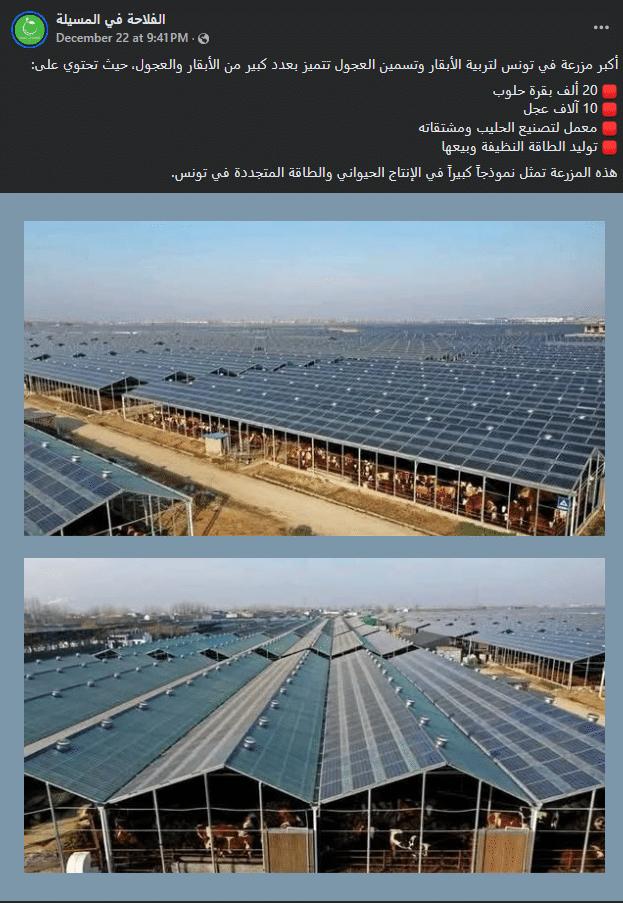 الادعاء المتداول عن امتلاك تونس أكبر ضيعة للأبقار وتوليد الطاقة - صفحات غير تونسية