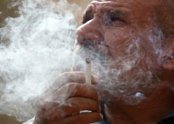 المصدر: شفق نيوز