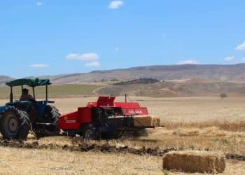 المصدر: Nawaat