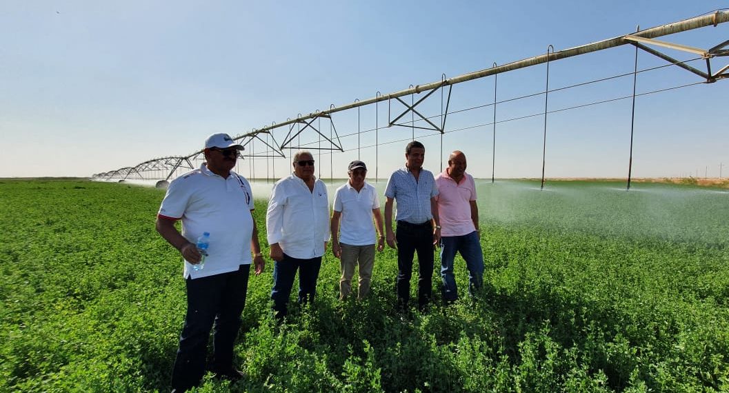 المصدر: اتحاد بنوك مصر