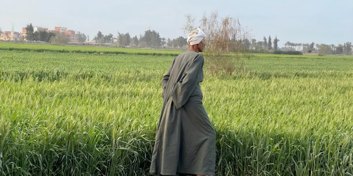 المصدر: الجزيرة نت