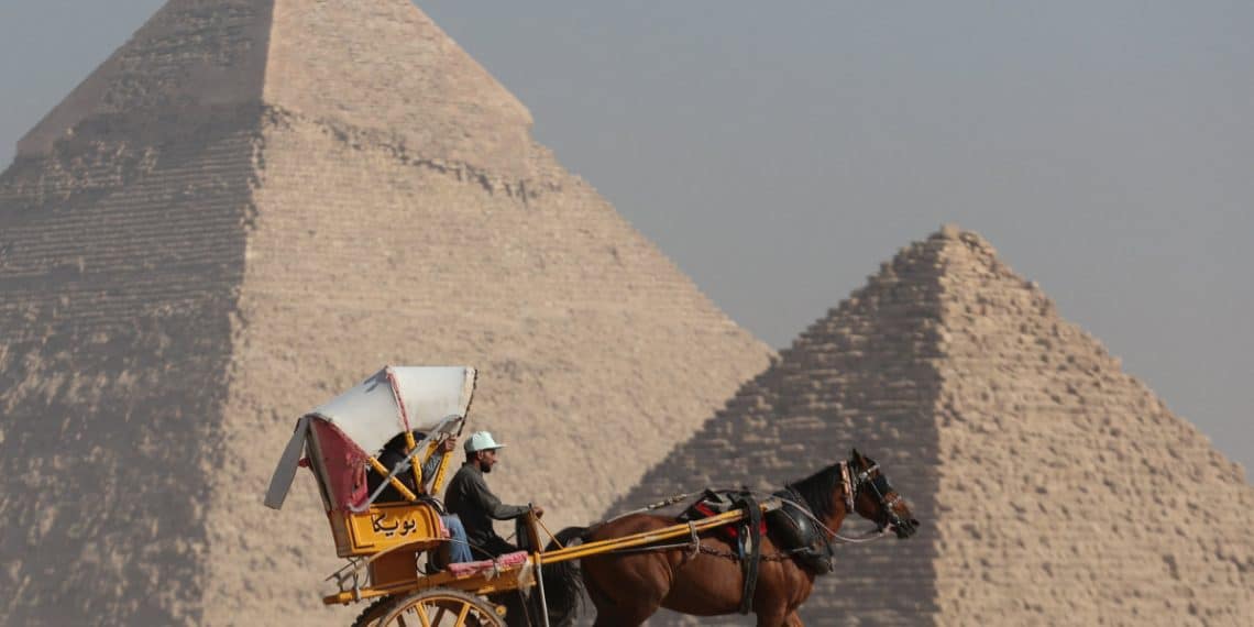 المصدر: اقتصاد الشرق