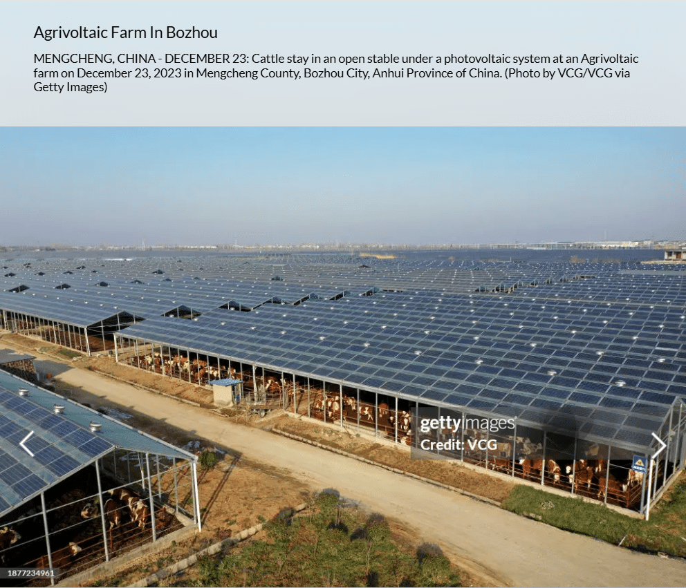 الصور الموجودة في موقع غيتي