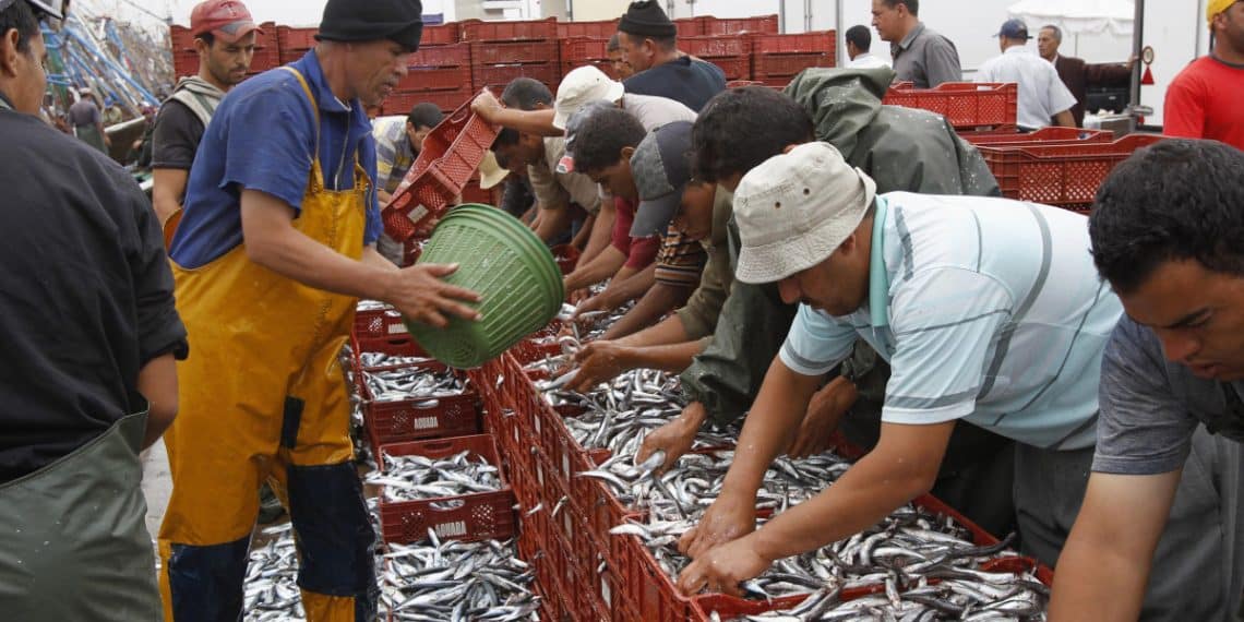 المصدر: اقتصاد الشرق