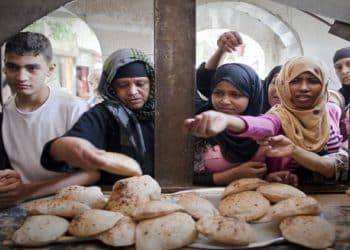 المصدر: Economy Plus