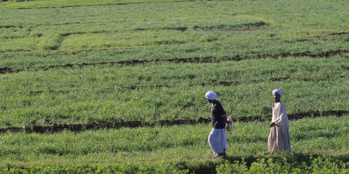 المصدر: Getty Images