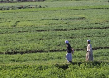 المصدر: Getty Images