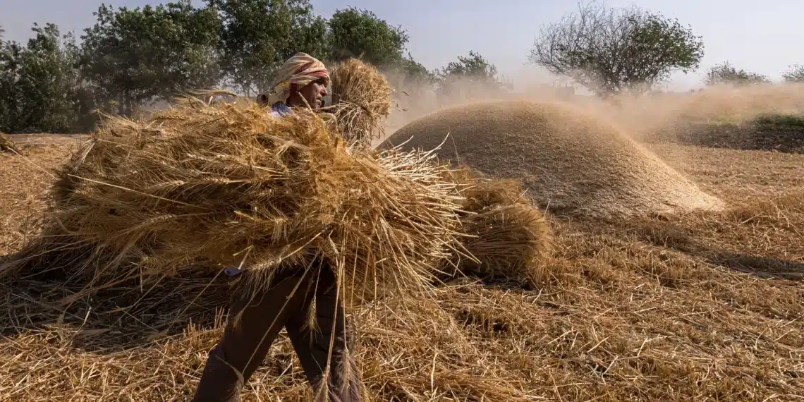 المصدر: اقتصاد سكاي نيوز عربية