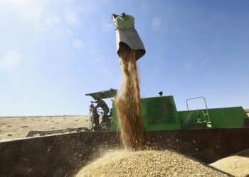 المصدر: اندبندنت عربية