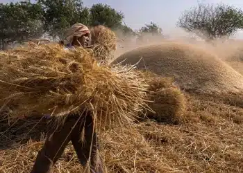 المصدر: اقتصاد سكاي نيوز عربية