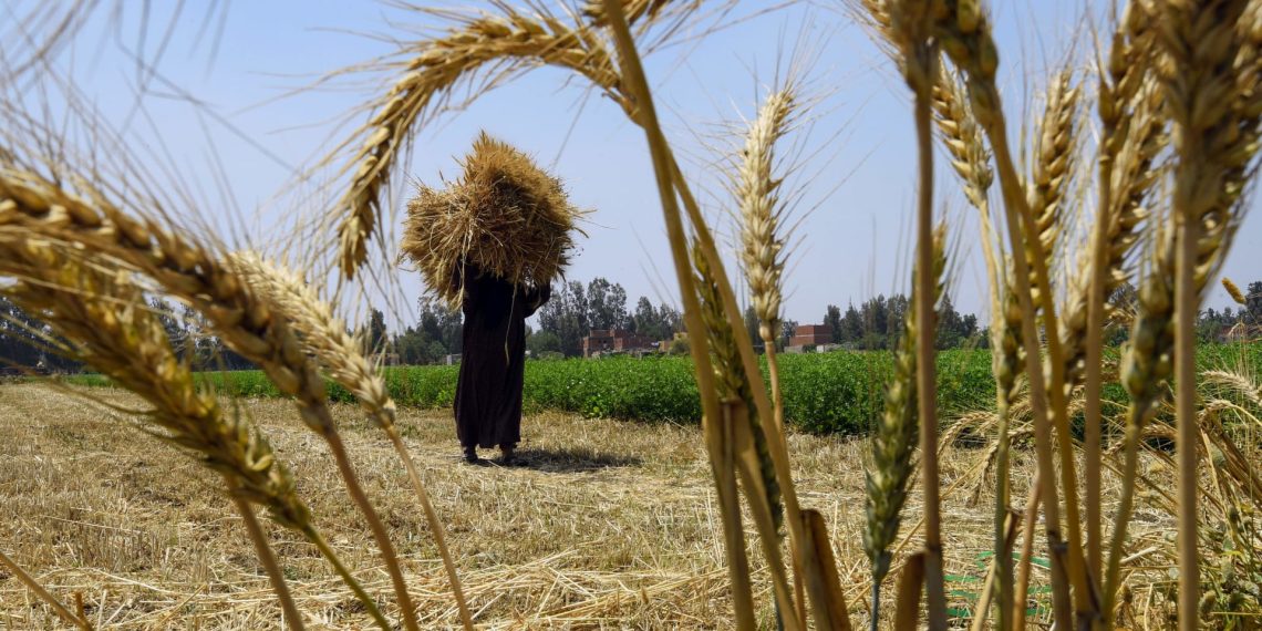 المصدر: CNN Arabic
