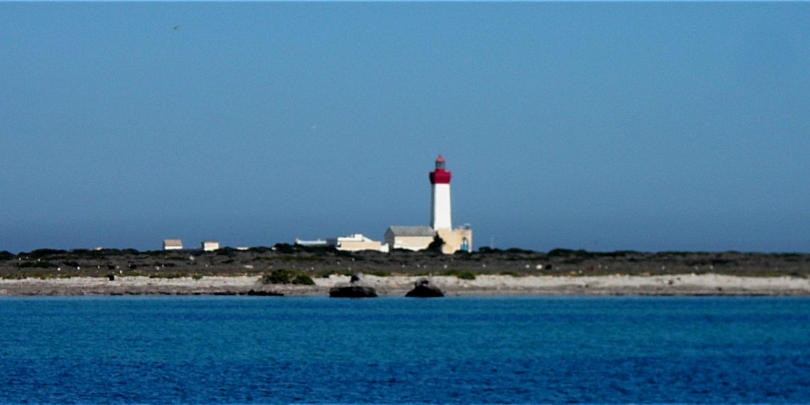 المصدر: ويكيبيديا