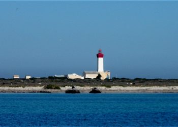 المصدر: ويكيبيديا