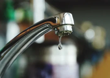 المصدر: ألترا تونس