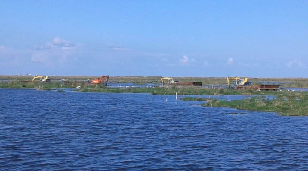 المصدر: الحصاد العربي