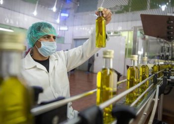 المصدر: بوابة الشروق