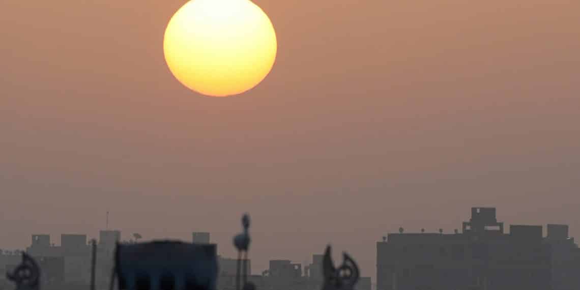 المصدر: روسيا اليوم - RT