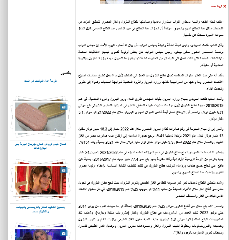 تصريحات رئيس لجنة الطاقة والبيئة بمجلس النواب