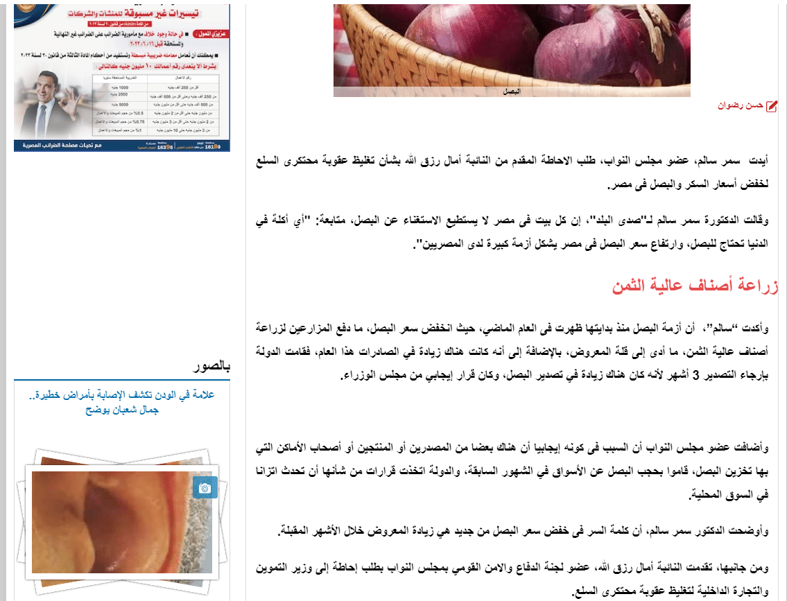 تصريحات عضو مجلس النواب عن صادرات البصل