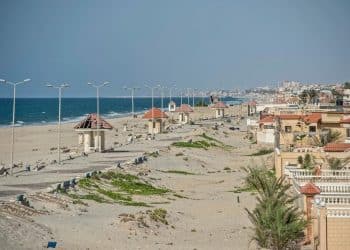 المصدر: أخبار الغد