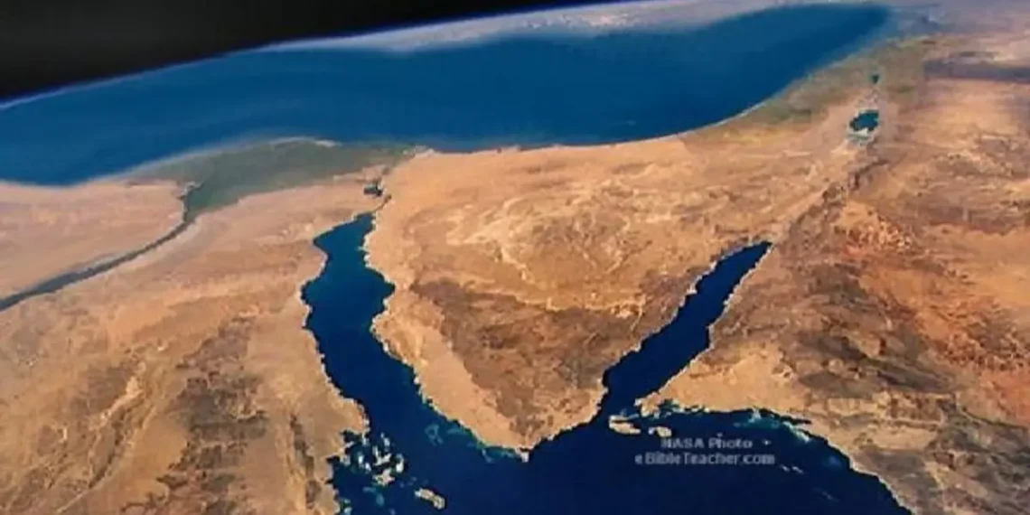 المصدر: العربية