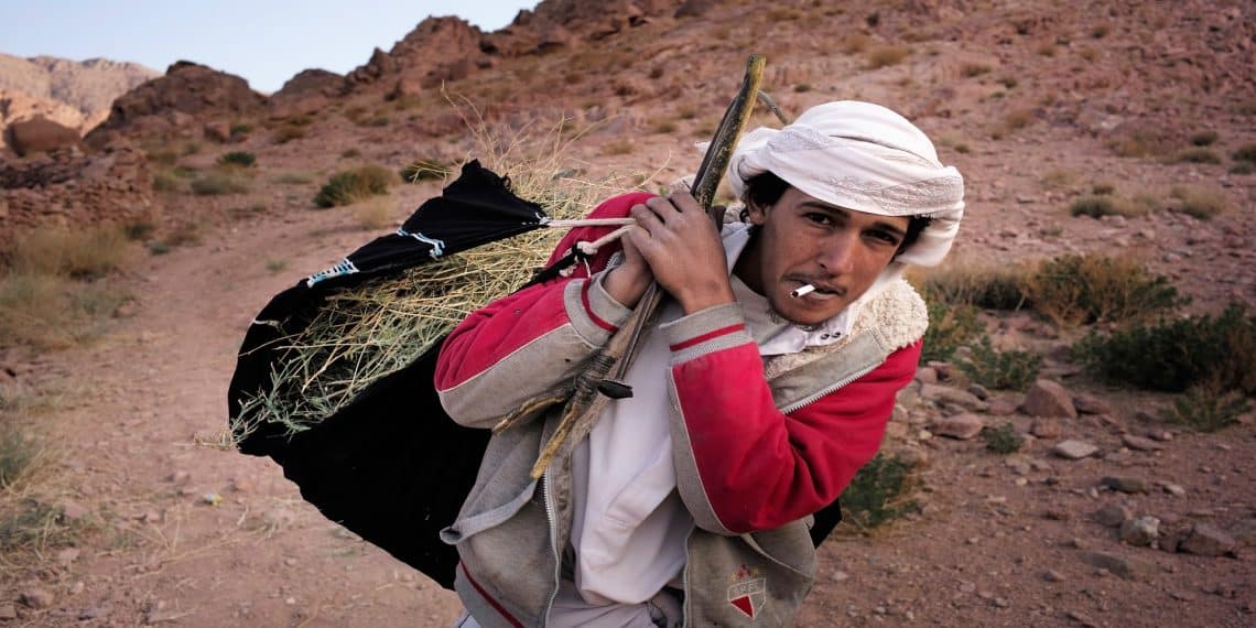 المصدر: Getty Images