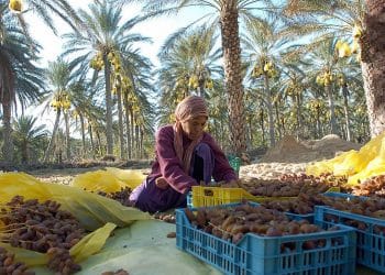 المصدر: CNN Arabic