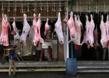 المصدر: العربية