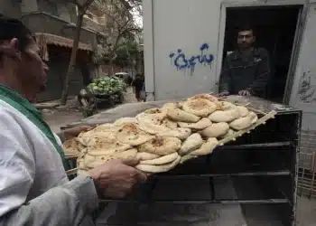 المصدر: وطن