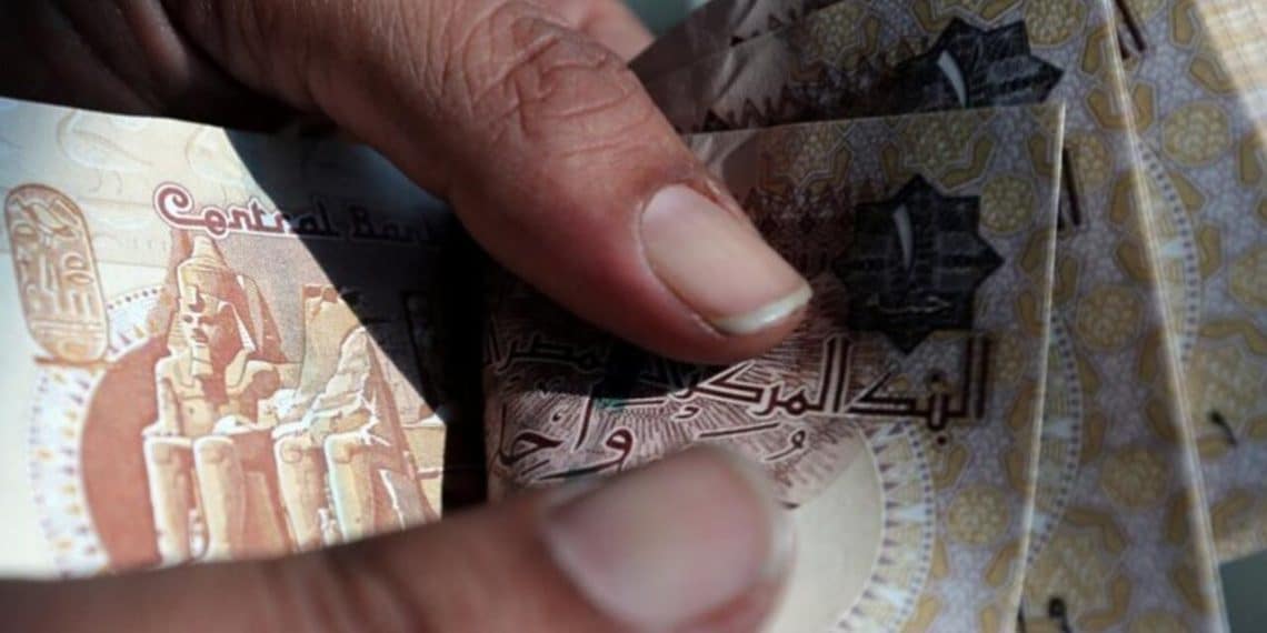 المصدر: MCD‏