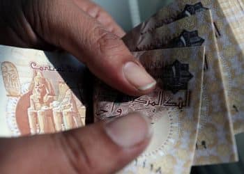 المصدر: MCD‏